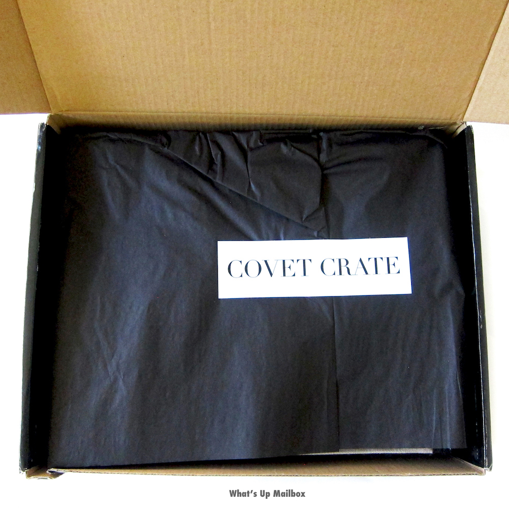 Covet Crate May 2016 Open Box